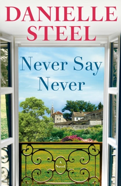 Never Say Never - A Novel