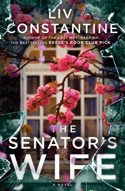 The Senator's Wife - A Novel