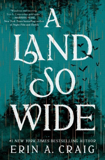 A Land So Wide - A Novel