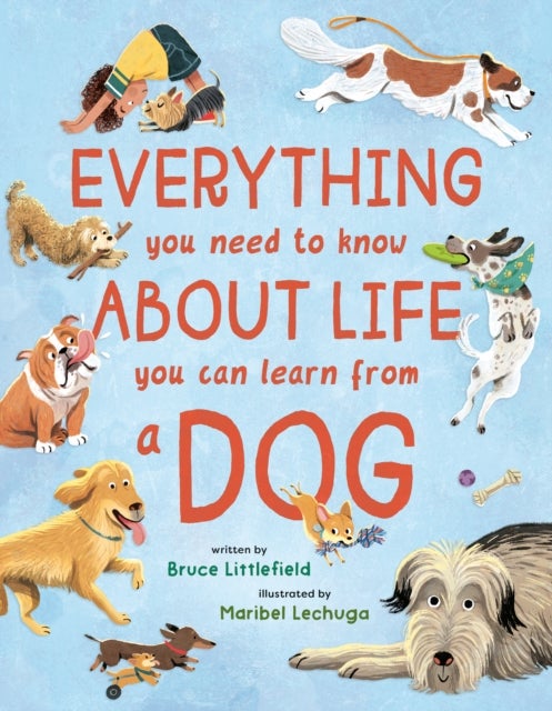 Everything You Need to Know About Life You Can Learn from a Dog