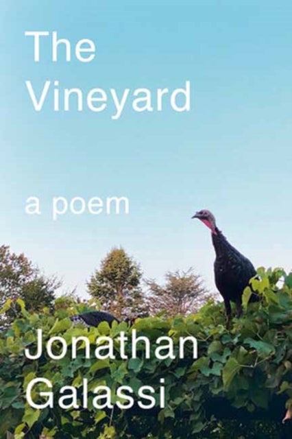 The Vineyard - A Poem