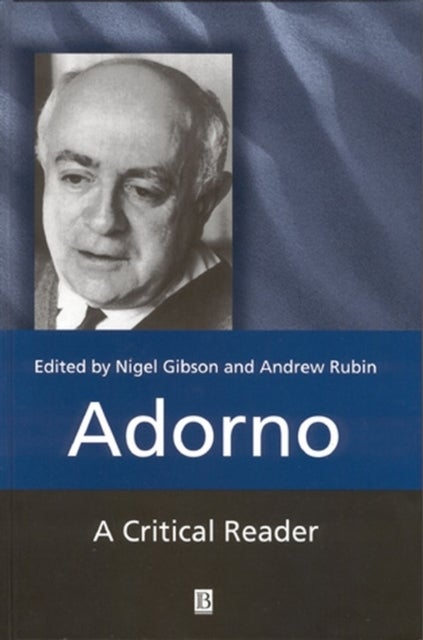 Adorno - A Critical Reader