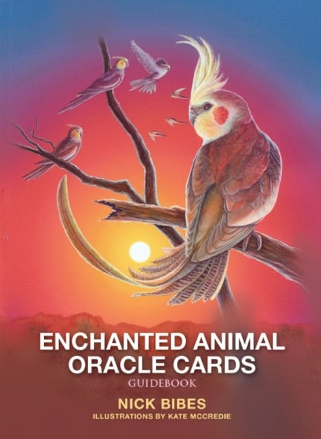 Enchanted Animal Oracle Cards - 45 Cards with Guidebook