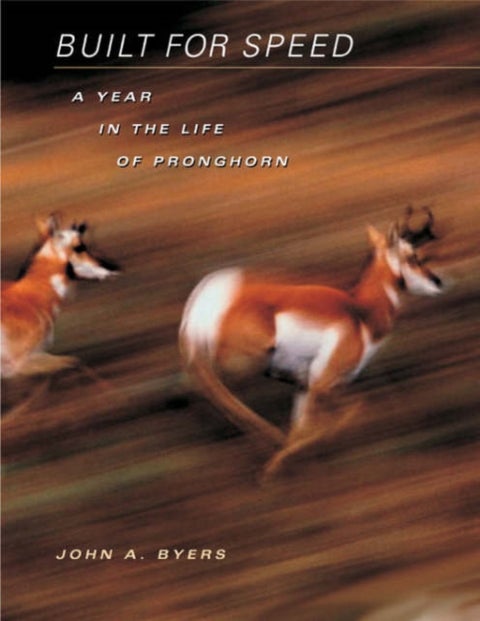 Built for Speed - A Year in the Life of Pronghorn