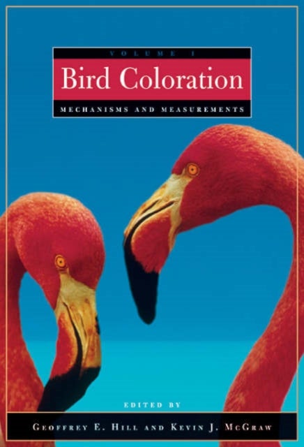 Bird Coloration