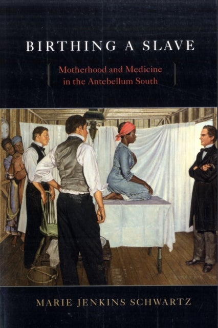 Birthing a Slave - Motherhood and Medicine in the Antebellum South