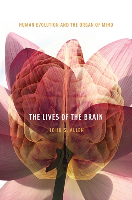 The Lives of the Brain - Human Evolution and the Organ of Mind