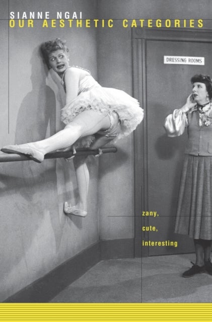 Our Aesthetic Categories - Zany, Cute, Interesting