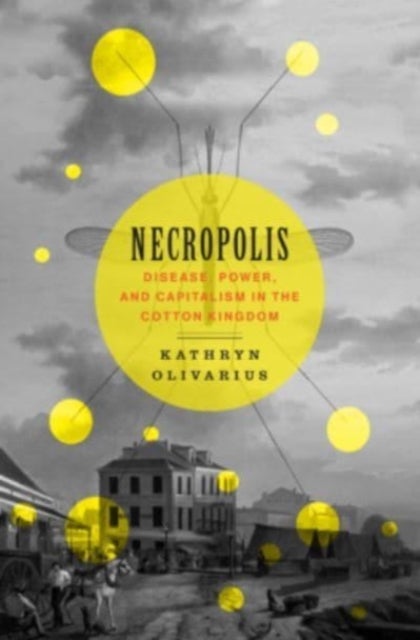 Necropolis - Disease, Power, and Capitalism in the Cotton Kingdom