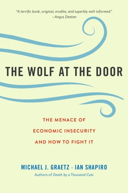 The Wolf at the Door - The Menace of Economic Insecurity and How to Fight It