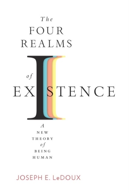 The Four Realms of Existence - A New Theory of Being Human