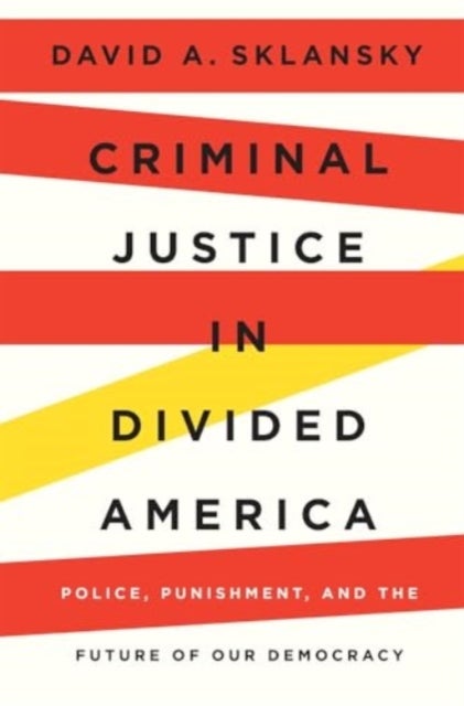 Criminal Justice in Divided America - Police, Punishment, and the Future of Our Democracy