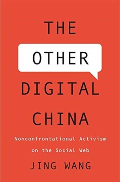 The Other Digital China
