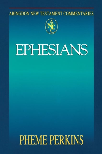 Abingdon New Testament Commentaries