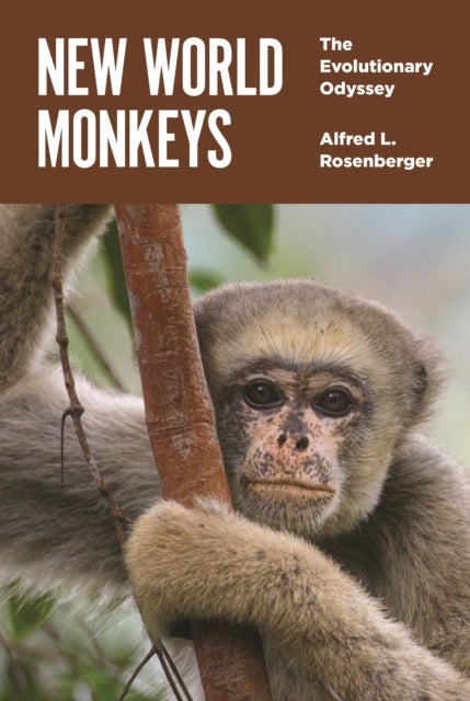 New World Monkeys - The Evolutionary Odyssey