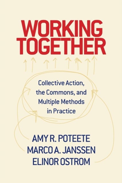 Working Together - Collective Action, the Commons, and Multiple Methods in Practice