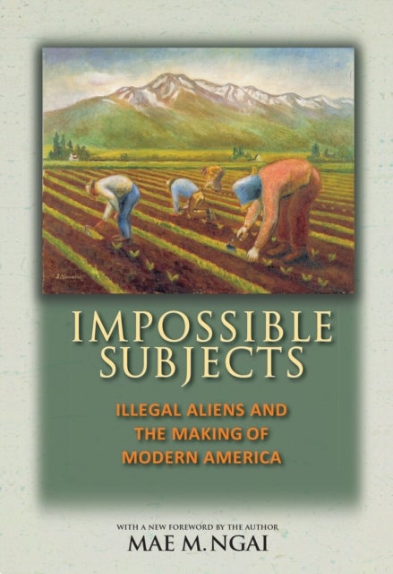 Impossible Subjects - Illegal Aliens and the Making of Modern America - Updated Edition