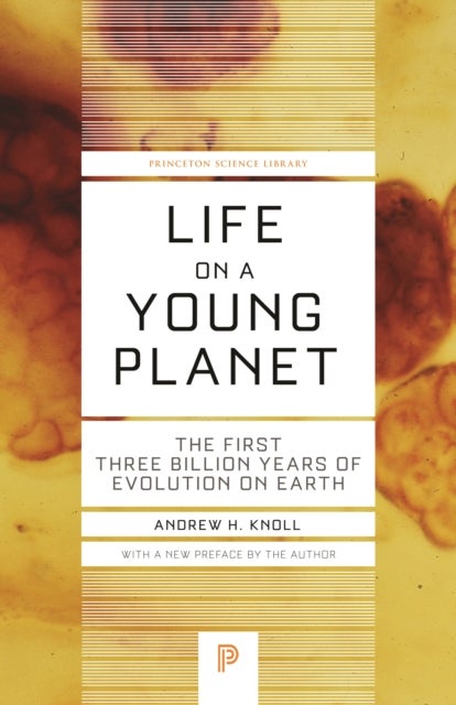 Life on a Young Planet - The First Three Billion Years of Evolution on Earth - Updated Edition