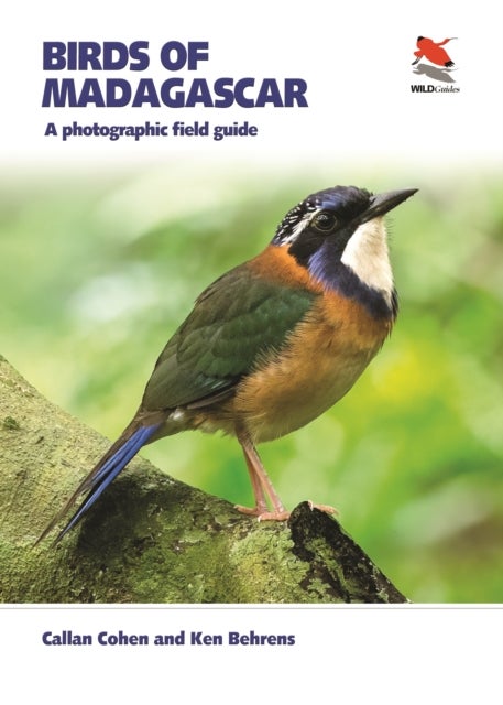 Birds of Madagascar - A Photographic Field Guide