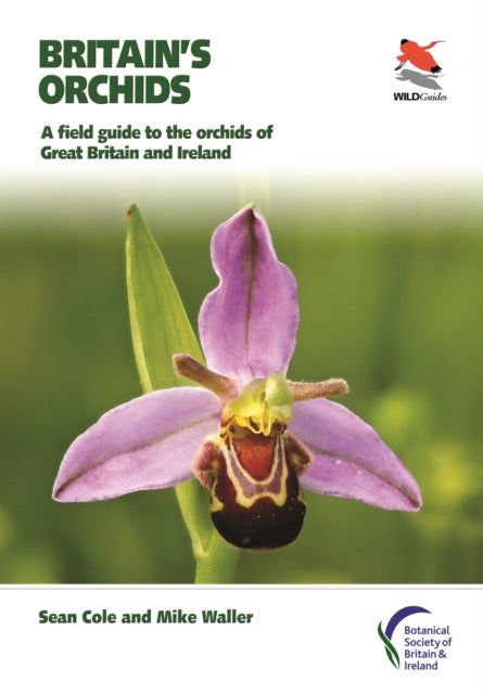 Britain's Orchids - A Field Guide to the Orchids of Great Britain and Ireland