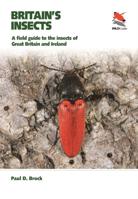 Britain's Insects - A Field Guide to the Insects of Great Britain and Ireland