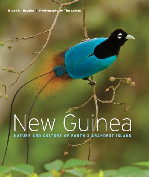 New Guinea - Nature and Culture of Earth's Grandest Island