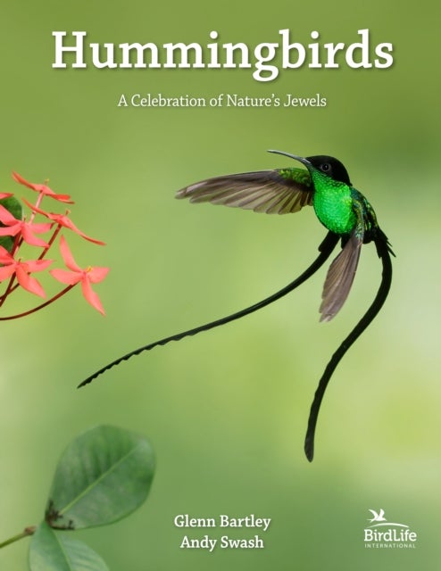 Hummingbirds - A Celebration of Nature's Jewels