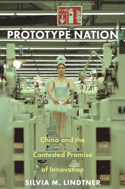 Prototype Nation - China and the Contested Promise of Innovation