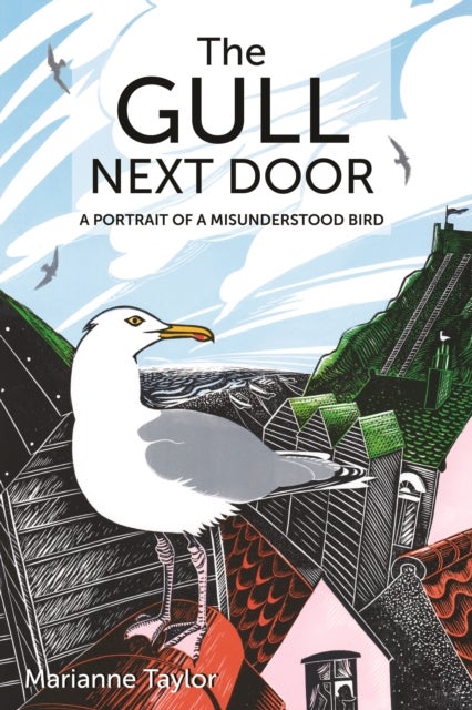 The Gull Next Door - A Portrait of a Misunderstood Bird