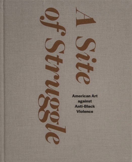 A Site of Struggle - American Art against Anti-Black Violence