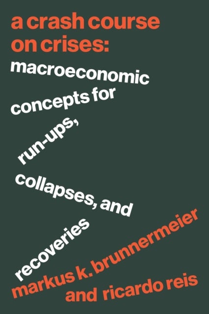 A Crash Course on Crises - Macroeconomic Concepts for Run-Ups, Collapses, and Recoveries