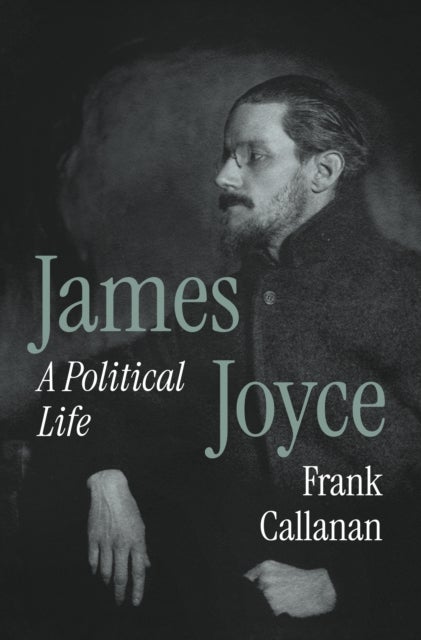 James Joyce - A Political Life