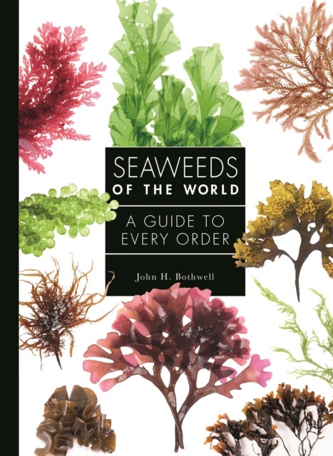 Seaweeds of the World - A Guide to Every Order