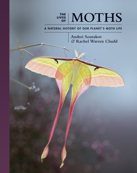 The Lives of Moths - A Natural History of Our Planet's Moth Life