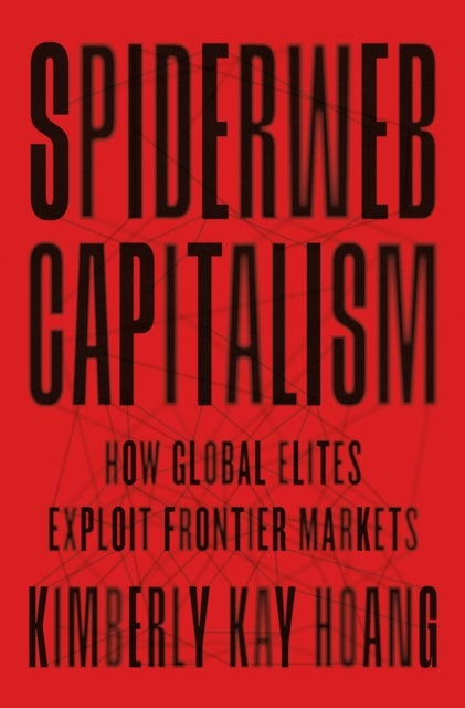 Spiderweb Capitalism - How Global Elites Exploit Frontier Markets