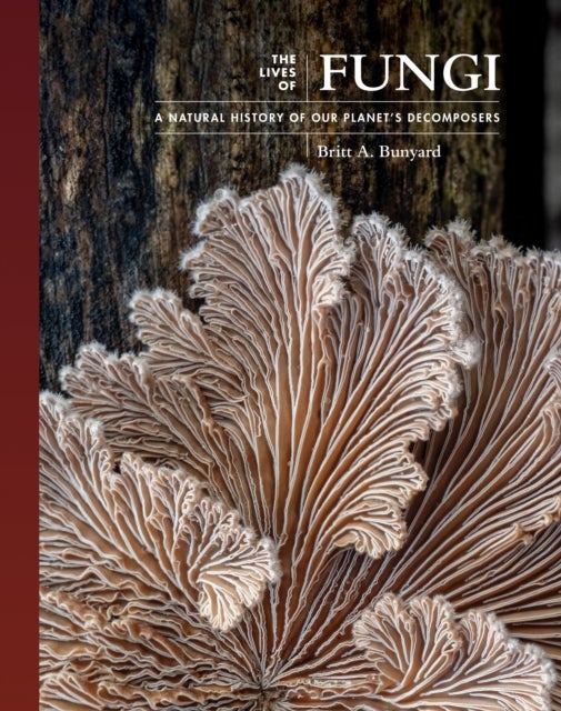The Lives of Fungi - A Natural History of Our Planet's Decomposers