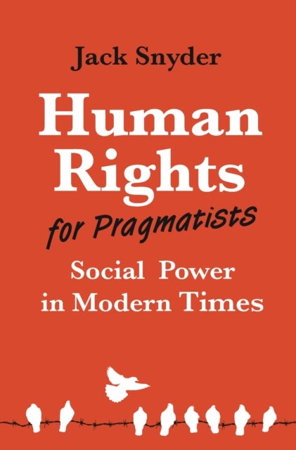 Human Rights for Pragmatists - Social Power in Modern Times
