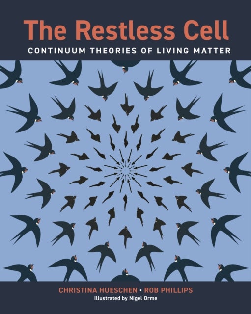 The Restless Cell - Continuum Theories of Living Matter