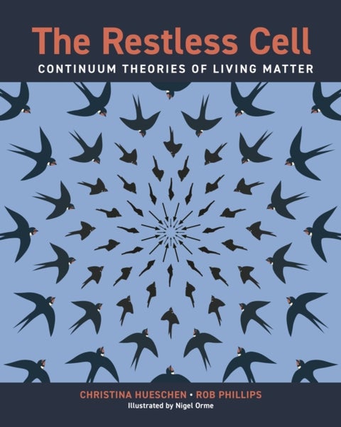 The Restless Cell - Continuum Theories of Living Matter