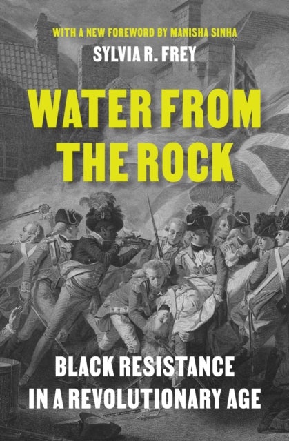 Water from the Rock - Black Resistance in a Revolutionary Age