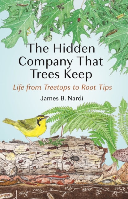 The Hidden Company That Trees Keep - Life from Treetops to Root Tips