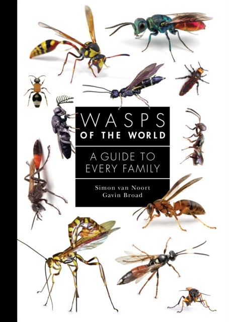 Wasps of the World - A Guide to Every Family
