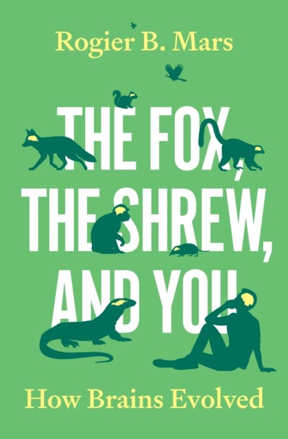 The Fox, the Shrew, and You - How Brains Evolved
