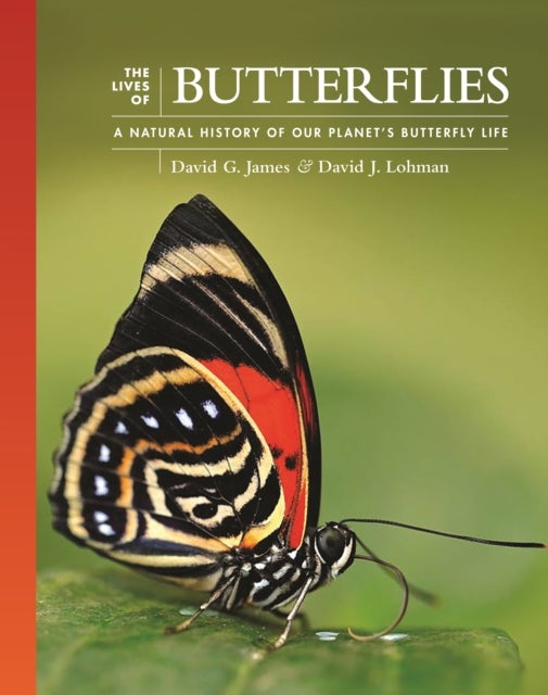 The Lives of Butterflies - A Natural History of Our Planet's Butterfly Life