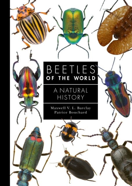 Beetles of the World - A Natural History