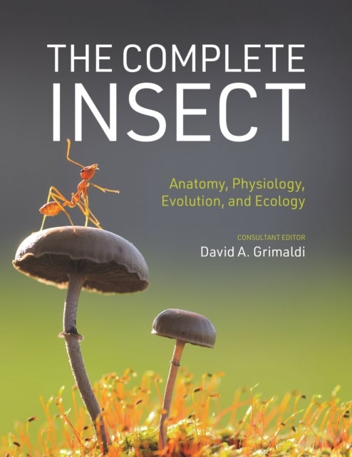 The Complete Insect - Anatomy, Physiology, Evolution, and Ecology