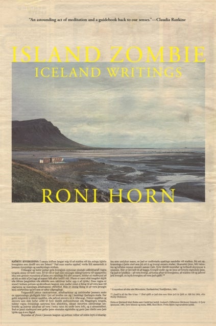 Island Zombie - Iceland Writings