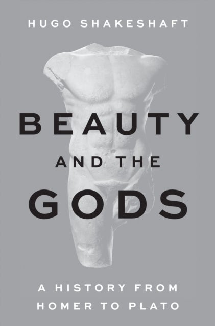 Beauty and the Gods - A History from Homer to Plato