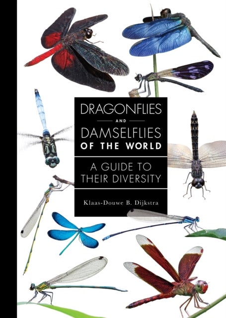 Dragonflies and Damselflies of the World - A Guide to Their Diversity