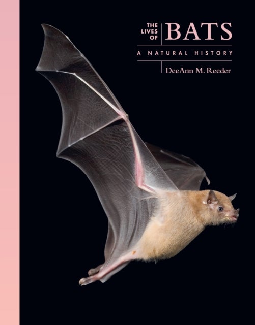 The Lives of Bats - A Natural History